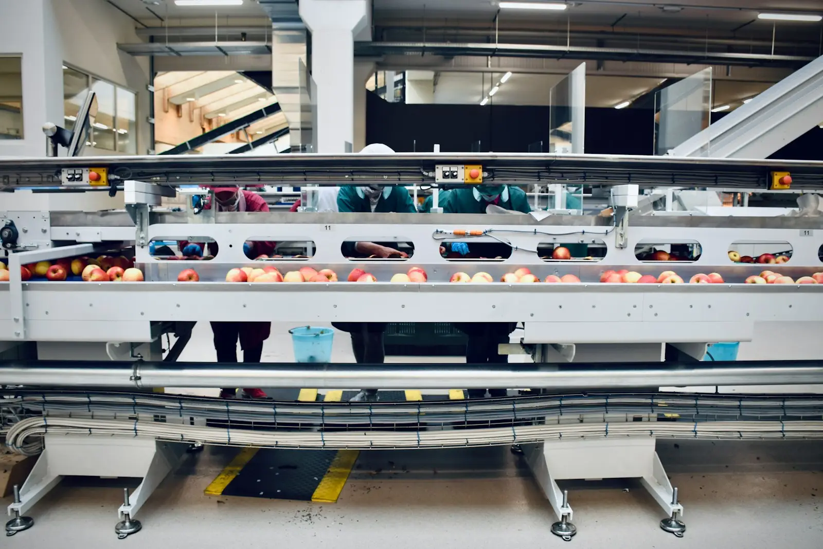 Bottles moving along a filling and packaging line