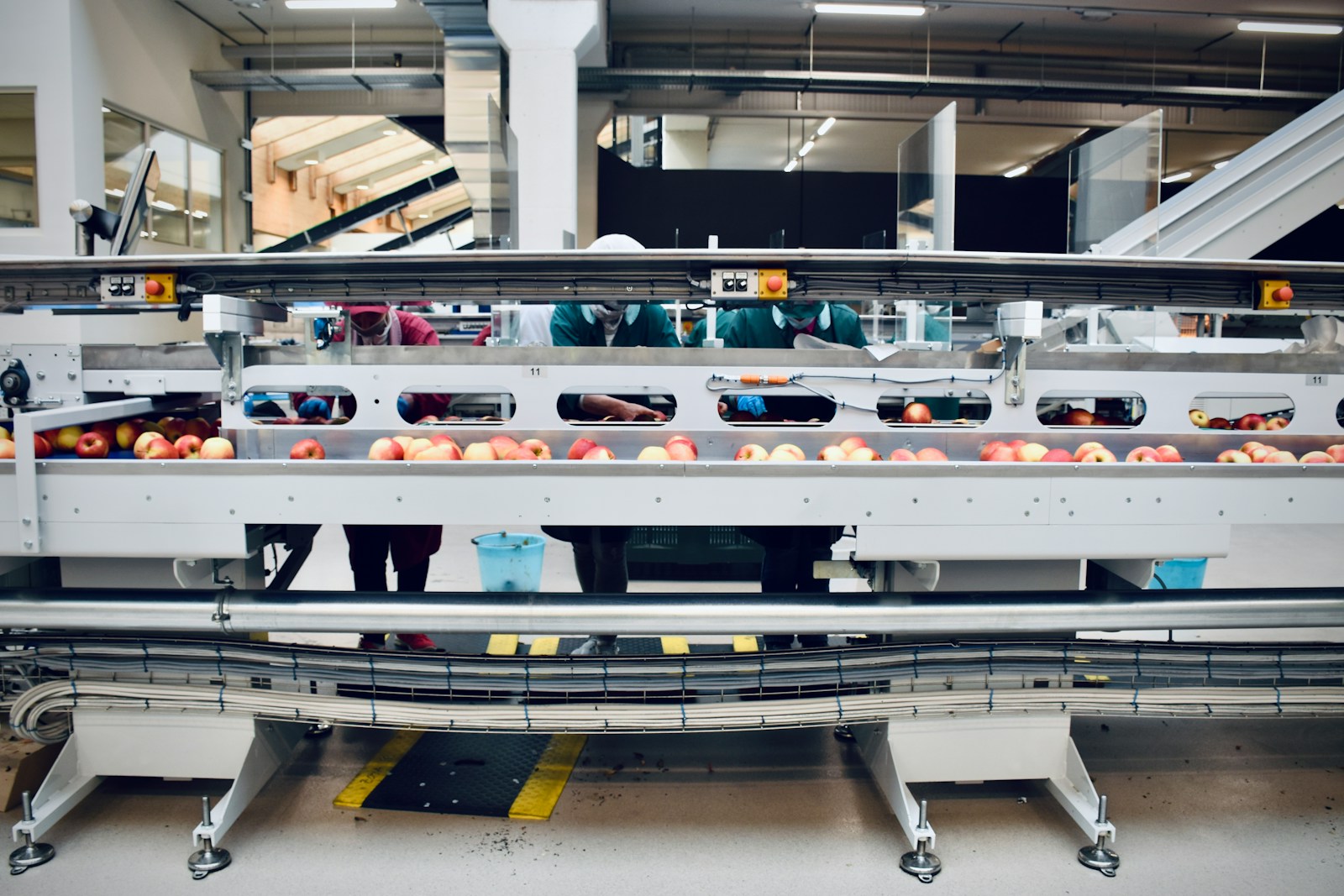 Bottles moving along a filling and packaging line